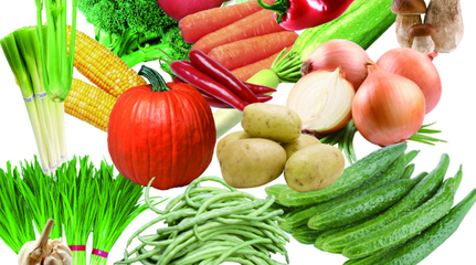 5批次常見蔬菜檢出問題，沃爾瑪遭曝光，花卉類商品亦需關(guān)注